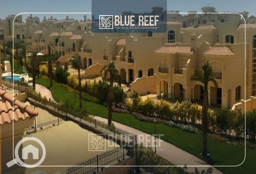 8 Bluereef - Templete. psdsdfcv بب. jpg