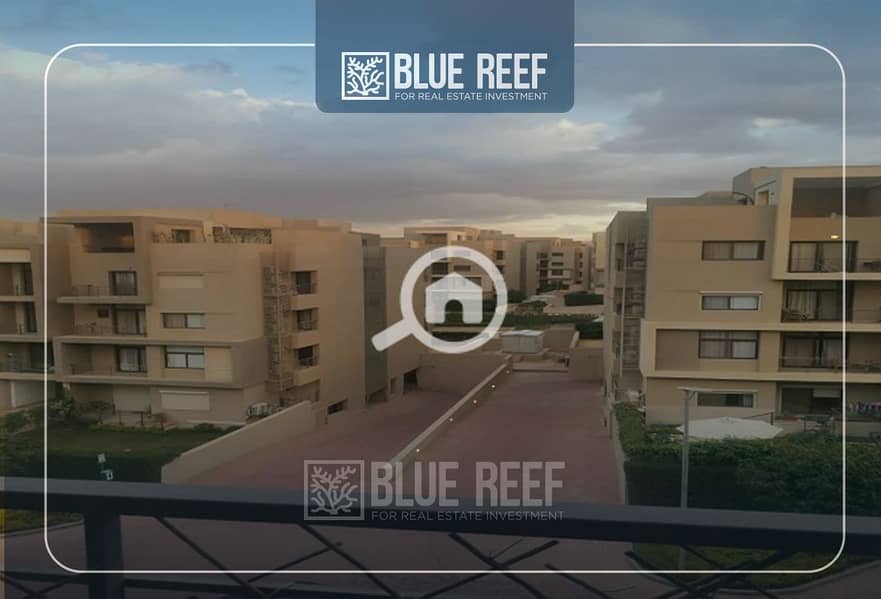 9 Bluereef - Templete. psdsdfcv لاىلاة. jpg