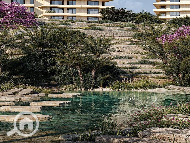 6 Lifestyle oasis shot. jpg