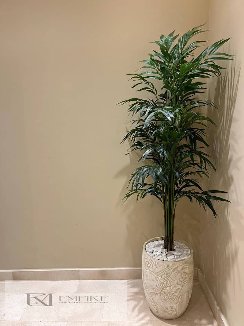 10 IMG-20251015-WA0309. jpg