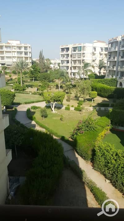 شقة 3 غرف نوم للايجار في الشيخ زايد، الجيزة - WhatsApp Image 2025-10-13 at 22.09. 30_5f3036c0. jpg