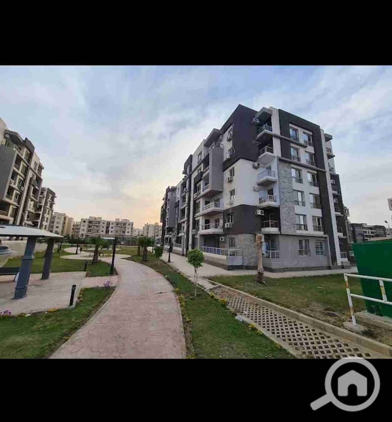 1000247696. jpg 1000247696. jpg