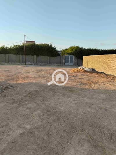 أرض سكنية  للبيع في كينج مريوط، الإسكندرية - 1559. jpg