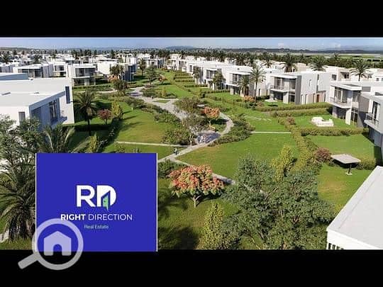 d0565391-cb88-11ef-8aff-0627fb9477e1. png d0565391-cb88-11ef-8aff-0627fb9477e1. png