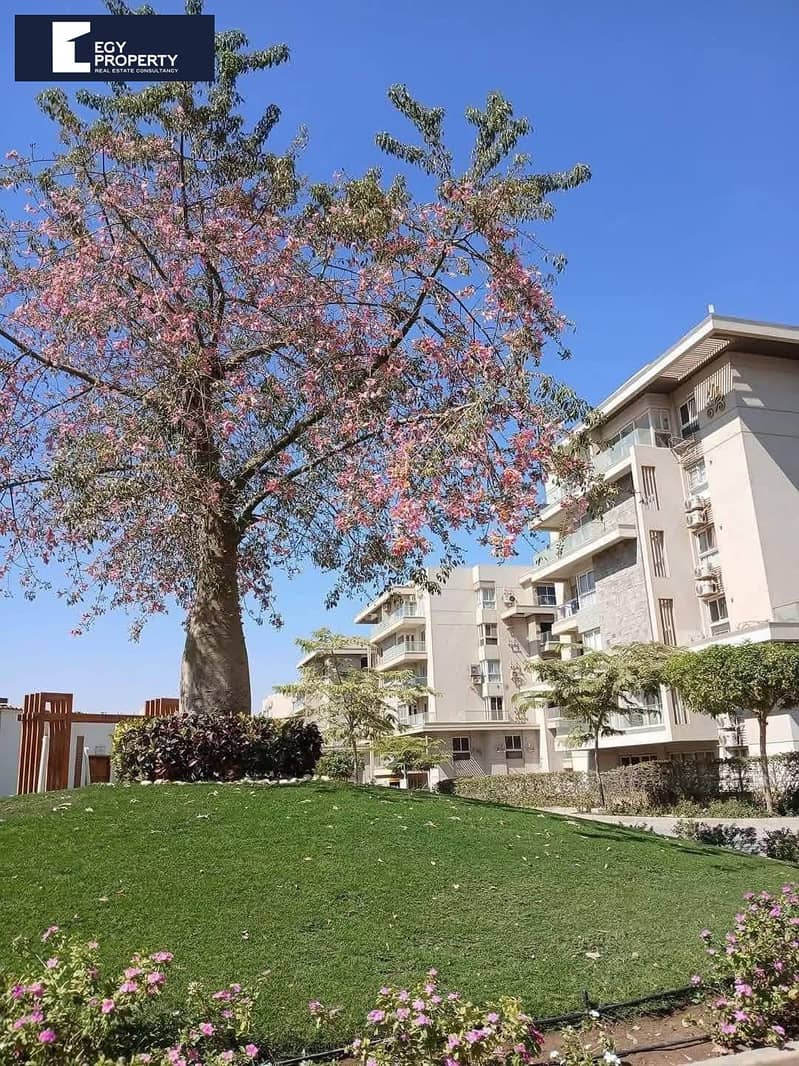 2 WhatsApp Image 2025-07-29 at 5.34. 29 AM. jpeg