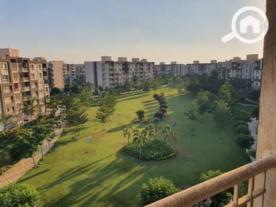 3 Bedroom Apartment for Sale in Madinaty, Cairo - WhatsApp Image 2025-10-16 at 3.59. 17 PM (1). jpeg