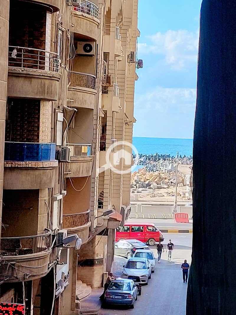 561688338_24953959580887798_6486403472523666437_n. jpg