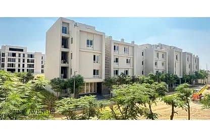 4 WhatsApp Image 2025-10-07 at 3.12. 41 PM. jpeg