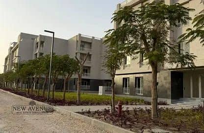 7 WhatsApp Image 2025-10-07 at 3.12. 44 PM. jpeg