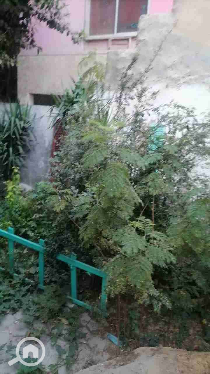 13 IMG-20251016-WA0130. jpg