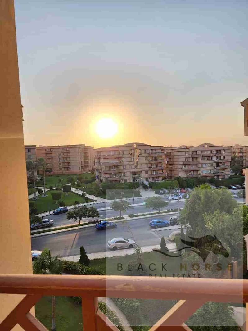 7 1000367337. jpg
