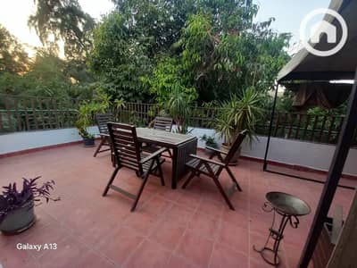 2 Bedroom Flat for Rent in Maadi, Cairo - 1c6bd740-de46-4388-8083-1bab94df12c8. jpeg