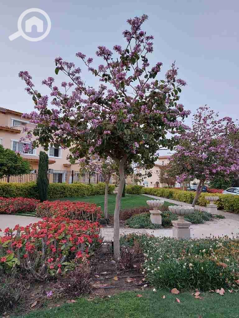 9 IMG-20221003-WA0078. jpg