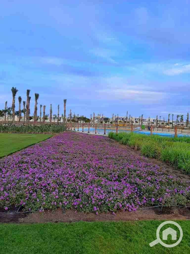 11 IMG-20221003-WA0068. jpg