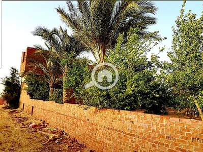 زراعي  للبيع في 6 أكتوبر، الجيزة - مزرعة فدان للبيع فى الريف الاوروبي