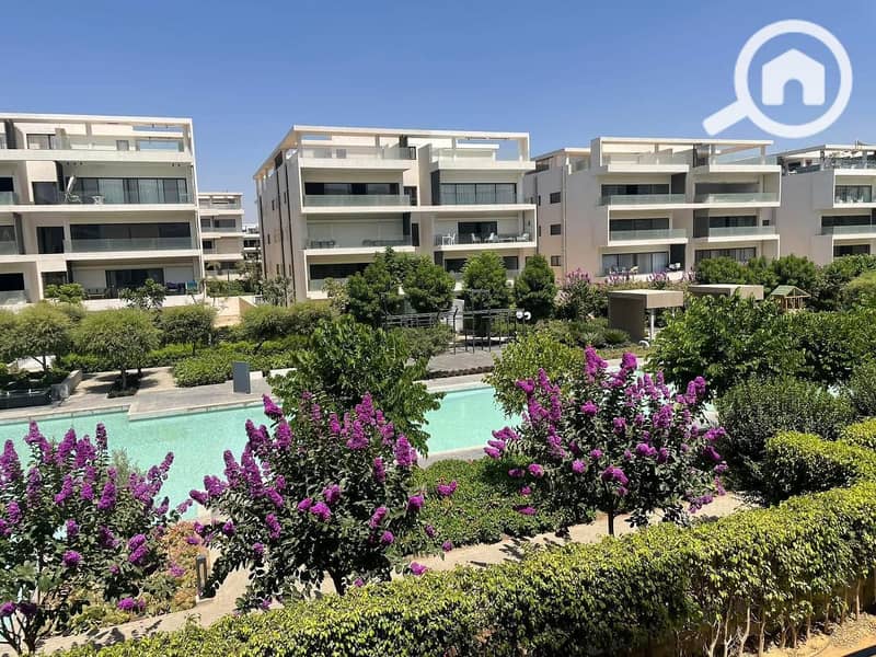 7 523cff84-b9a1-43cd-a59d-7f807a7c0aa2. jpeg