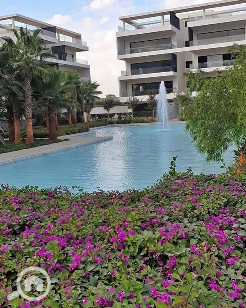 11 88060945-6f9a-4056-b6e4-640fc4400a28. jpeg