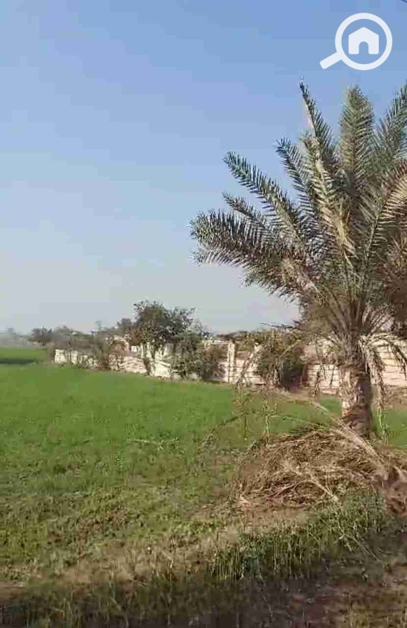10 IMG-20241228-WA0001. jpg