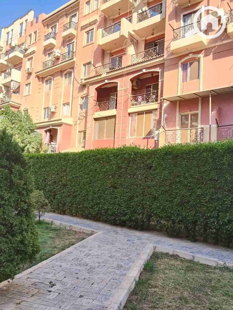 5 1000186433. jpg