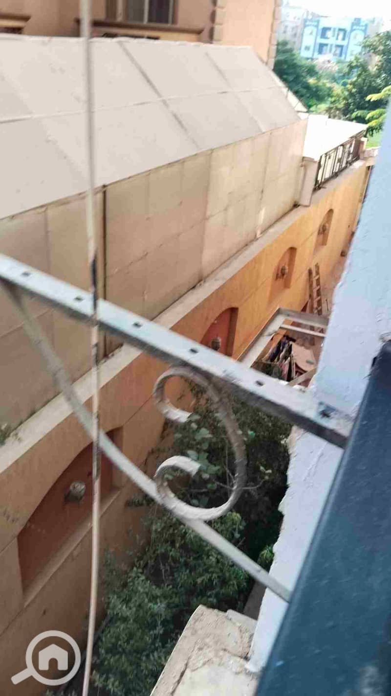 20 1000333629. jpg