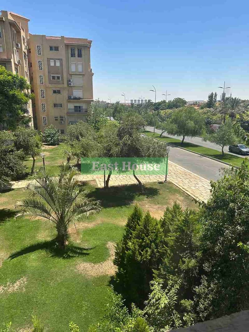 3 1001037710. jpg