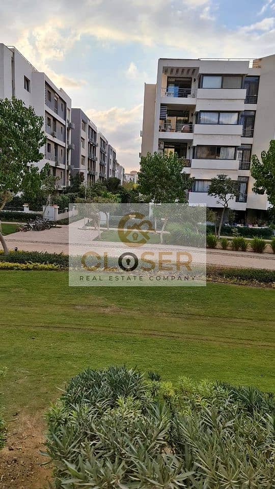 13 462754895_2980517812098046_7335575479485853575_n. jpg