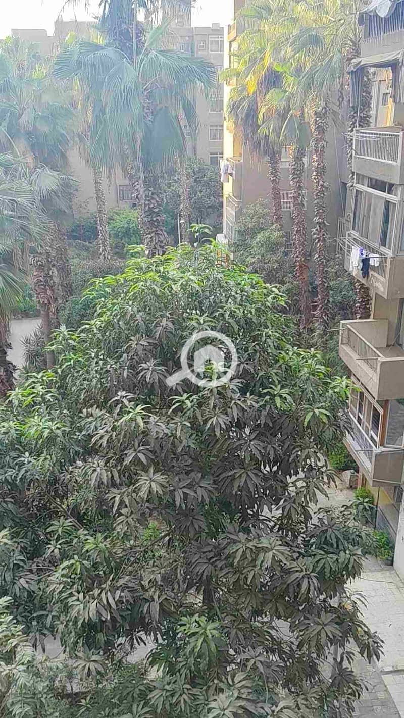 10 1000078447. jpg
