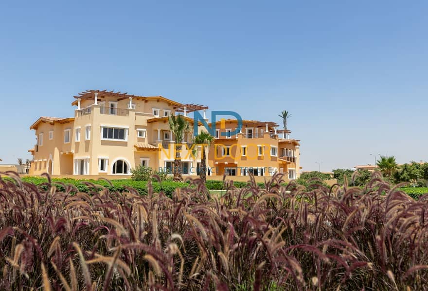 49b38625-a80f-4f15-b0e8-695fb46f905a. jpg 49b38625-a80f-4f15-b0e8-695fb46f905a. jpg