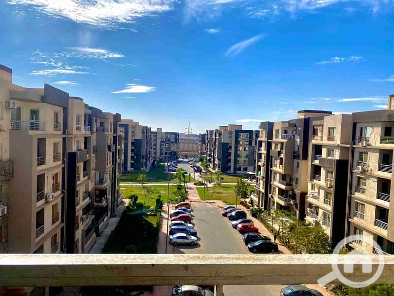 1000391531. jpg 1000391531. jpg