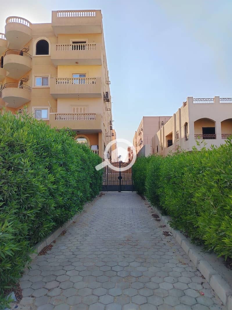 3 صورة واتساب بتاريخ 2025-10-17 في 18.03. 04_65a0690e. jpg