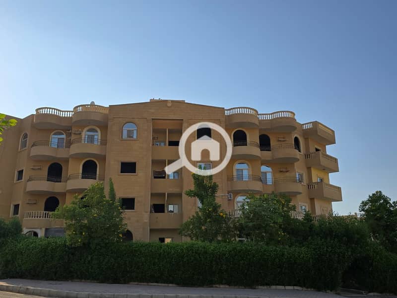 8 صورة واتساب بتاريخ 2025-10-17 في 18.03. 14_c96c30a2. jpg