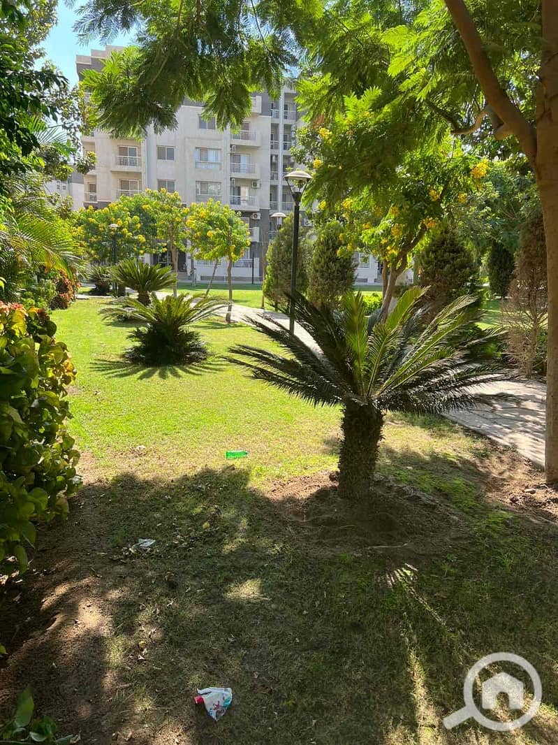 2 58892a1f-e130-47e9-a817-1a4be38fb2f3. jpg