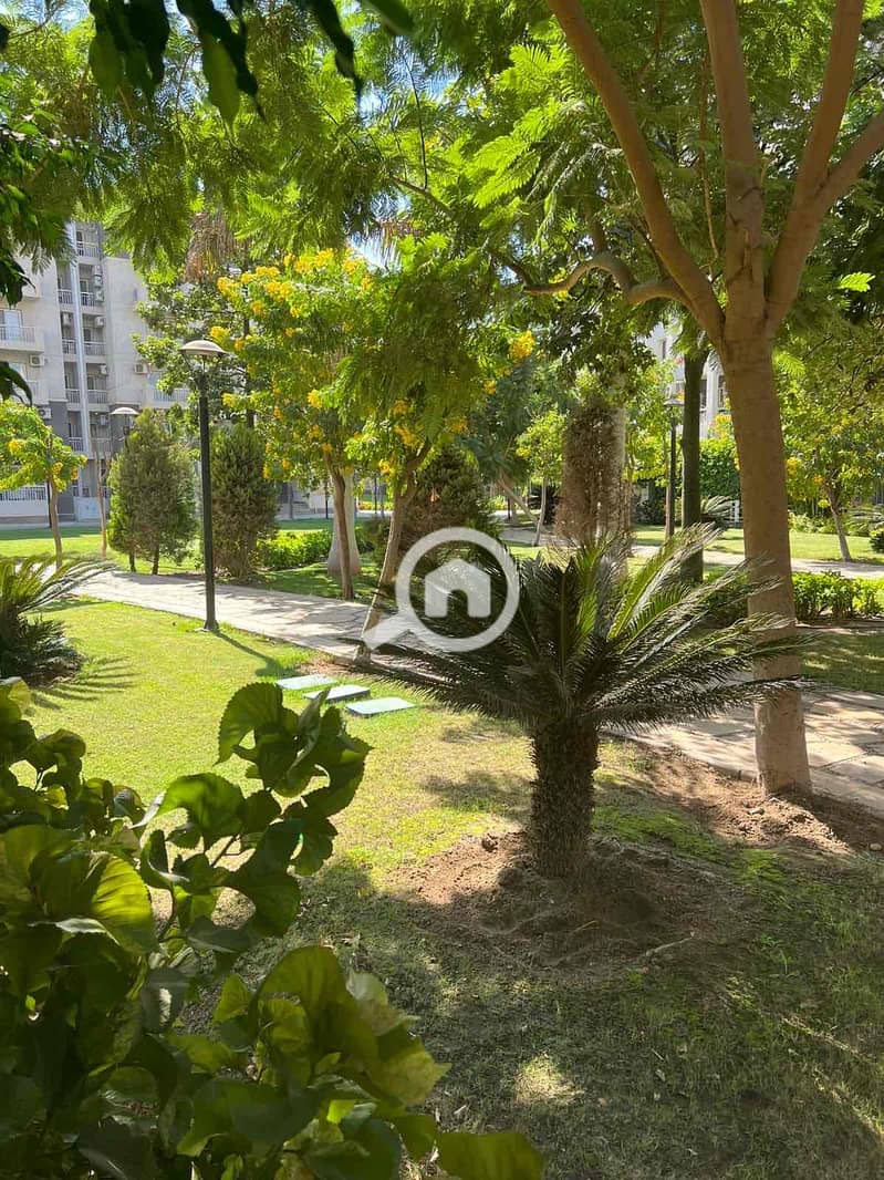 8 8964dc28-cac7-41df-9dfd-e55e1cfaee14. jpg