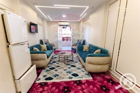 3 Bedroom Flat for Rent in Miami, Alexandria - 1. JPG