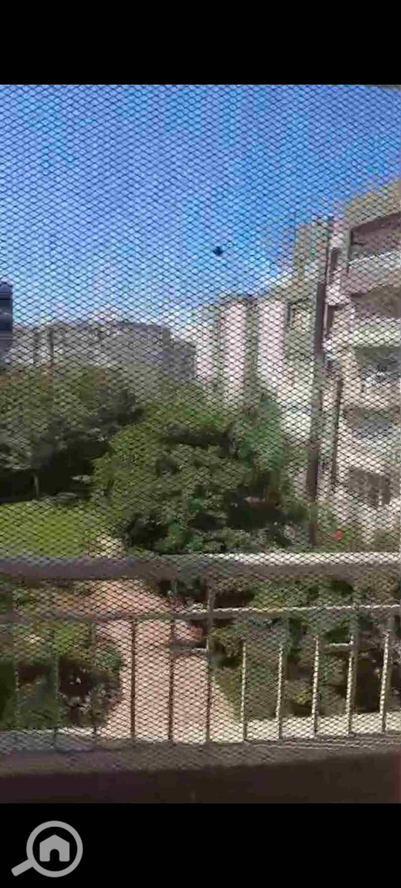 20 1000374471. jpg