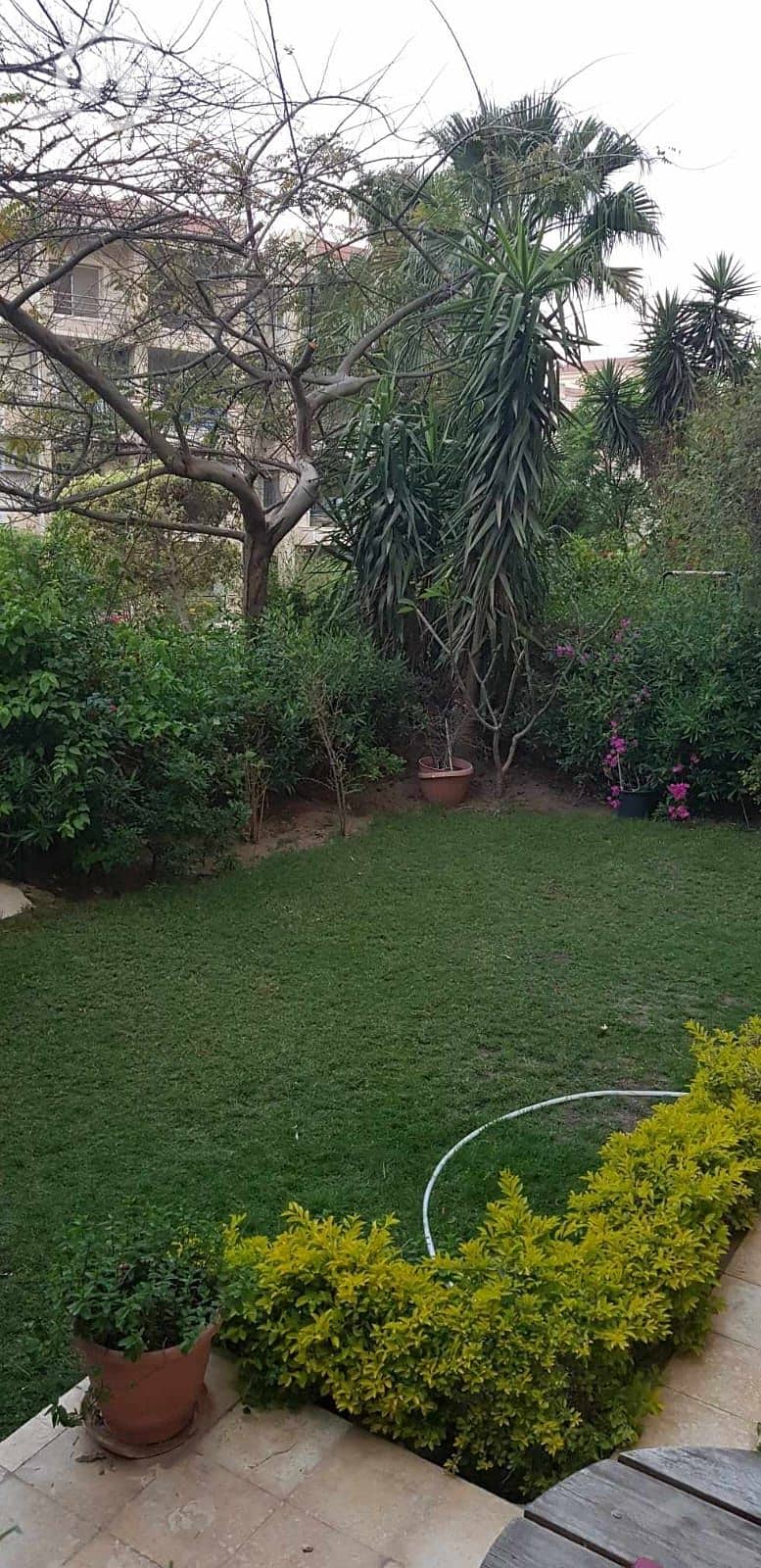 2 IMG-20241103-WA0005. jpg