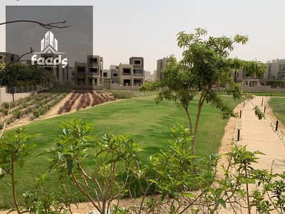 4 Bedroom Twin House for Sale in New Cairo, Cairo - WhatsApp Image 2025-10-18 at 12.50. 29 PM (1). jpeg