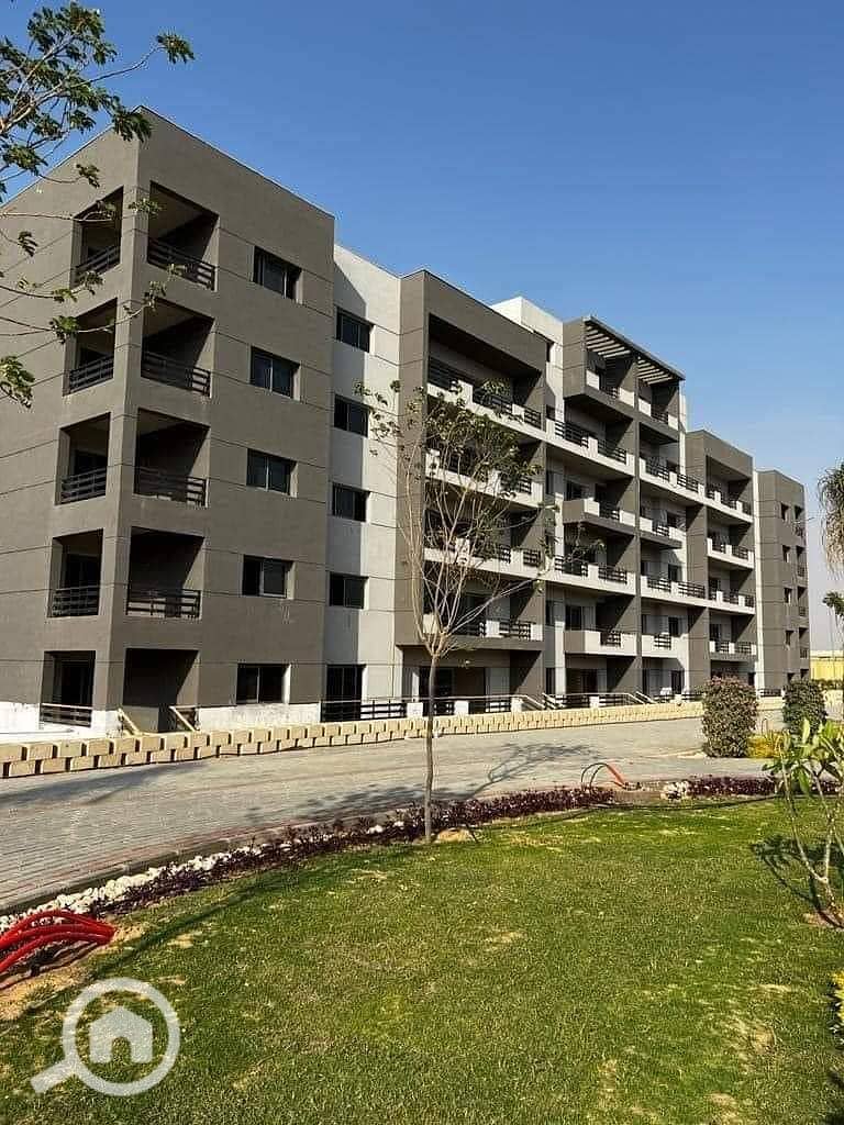 5 WhatsApp Image 2025-09-15 at 15.20. 58_bb3cd7ea. jpg