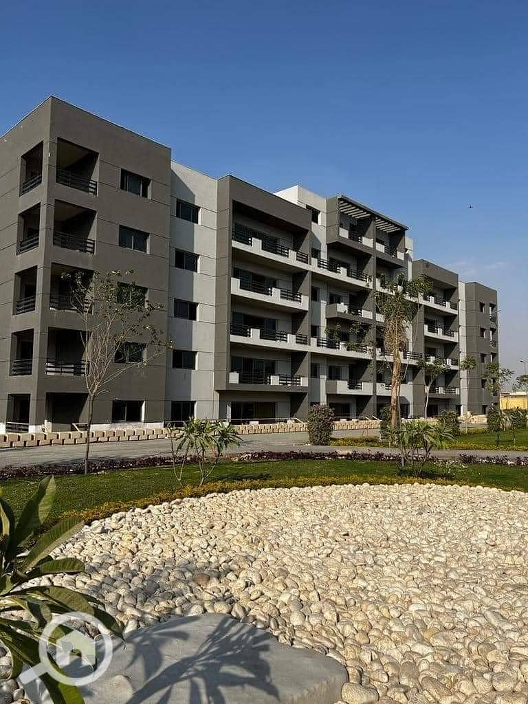 8 WhatsApp Image 2025-09-15 at 15.20. 59_abbdf774. jpg