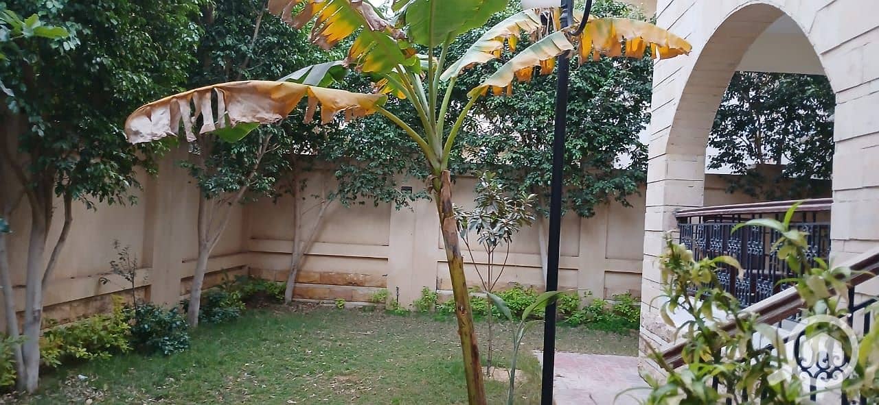 14 WhatsApp Image 2025-10-18 at 3.01. 30 PM (3). jpeg