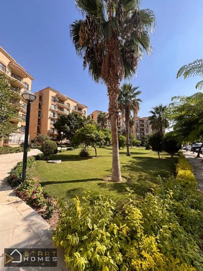 3 Bedroom Flat for Sale in New Cairo, Cairo - WhatsApp Image 2025-10-18 at 3.30. 09 PM. jpeg