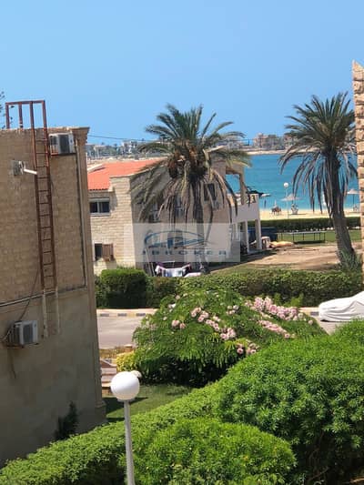 شاليه 4 غرف نوم للبيع في الساحل الشمالي، مطروح - WhatsApp Image 2025-10-12 at 14.35. 00_45b4e951. jpg