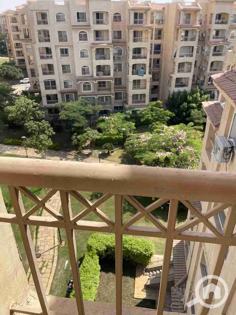 20 1000489346. jpg