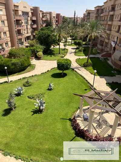 3 Bedroom Flat for Rent in New Cairo, Cairo - 662da80d-c8c7-46c6-9dc2-168b9cb297c2. jpg
