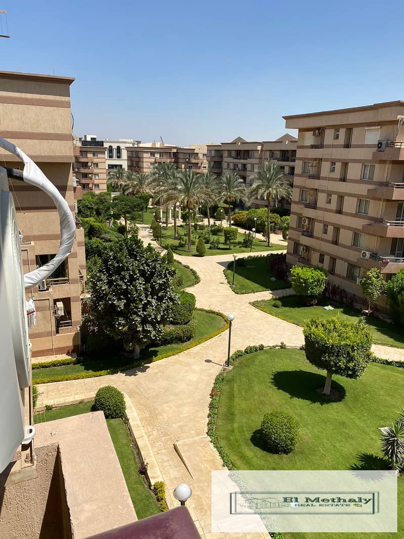 4 566f7836-9eda-4d1f-a03e-b2722bb6fd02. jpg