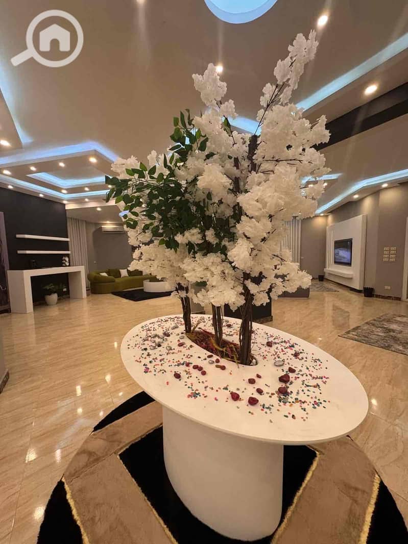 6 984466a8-eb7b-4247-856e-205edf1e3cf8. jpg