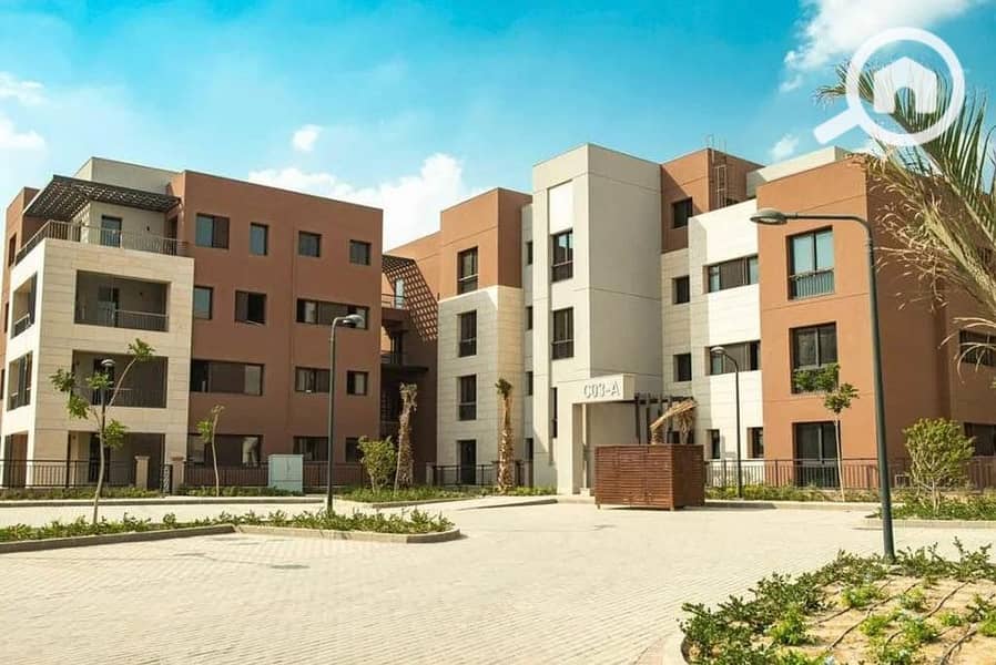 4 453504312_10168816802400265_7887965641699791130_n. jpg