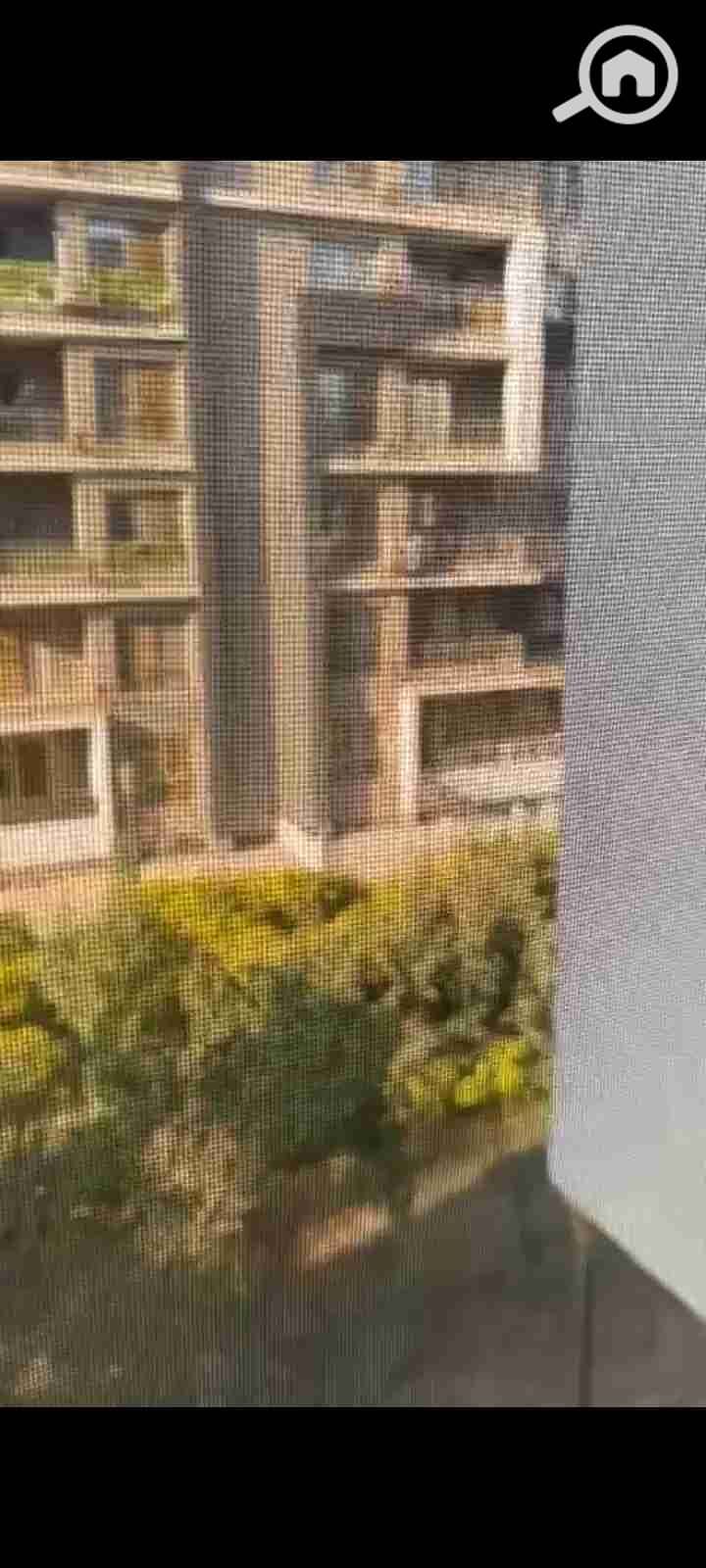 4 1000192136. jpg
