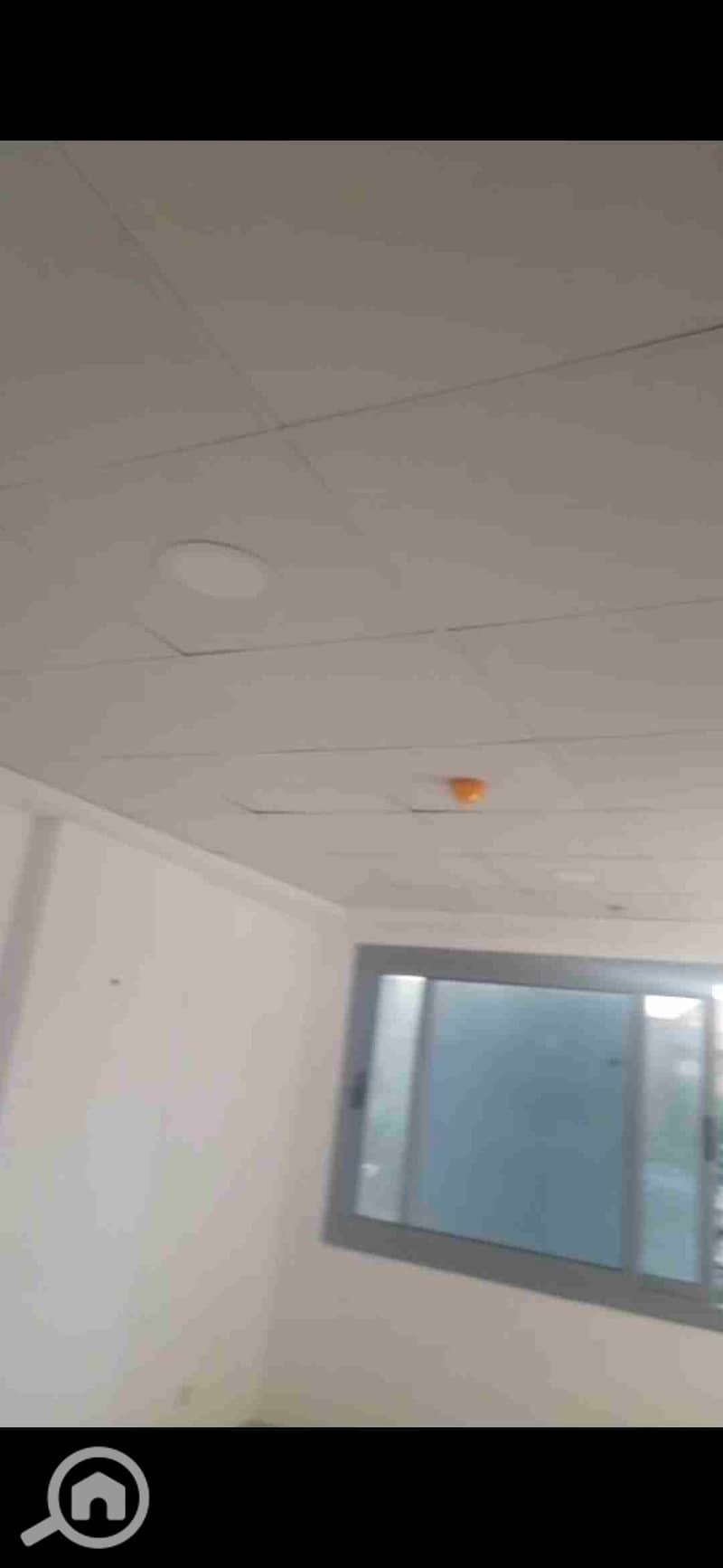 1000003961. jpg 1000003961. jpg