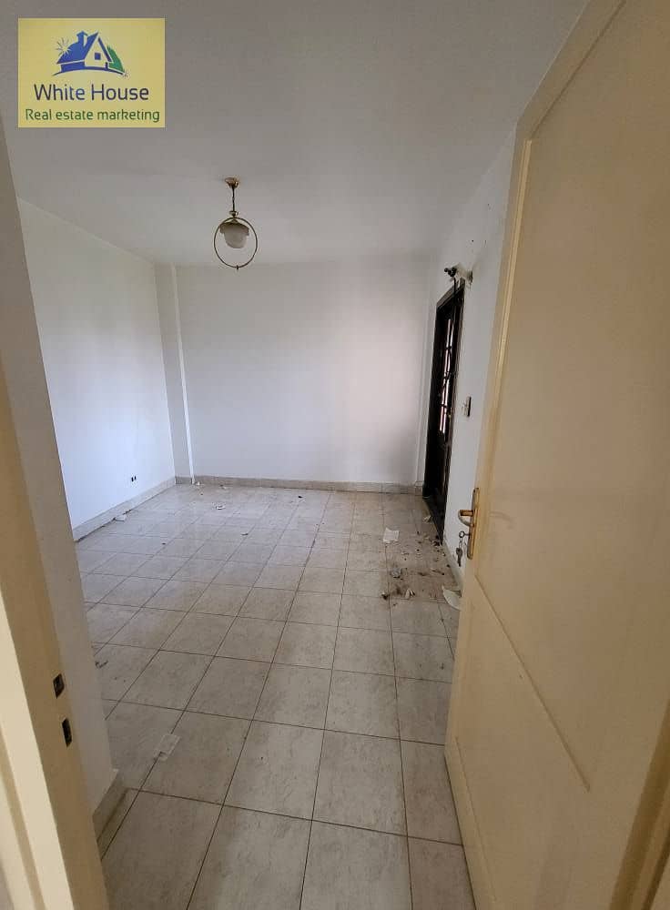 3 546147236_10162245770888992_6168622124444499853_n. jpg